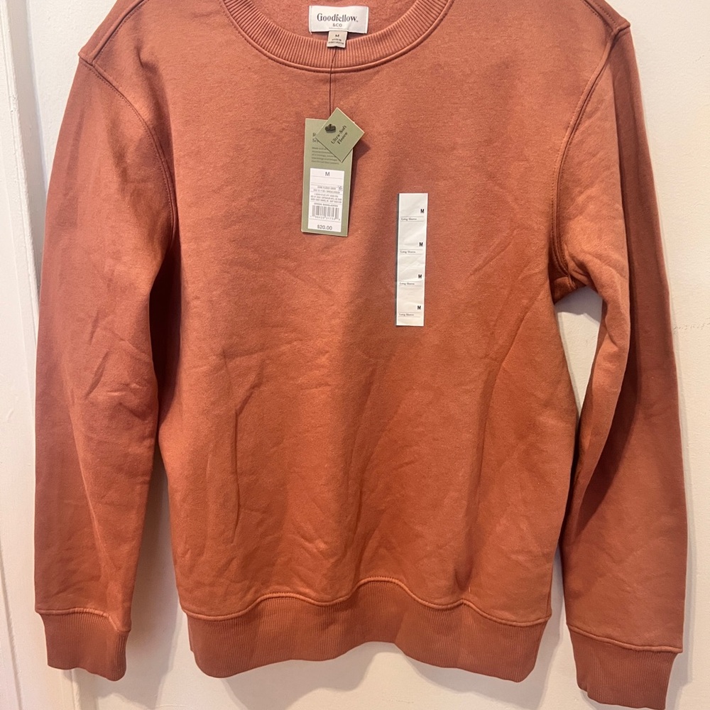 Goodfellow & Co Men's Copper Crewneck Sweater